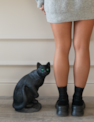 02cat_foto